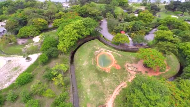 Аэровидео Зоопарк Майами — стоковое видео