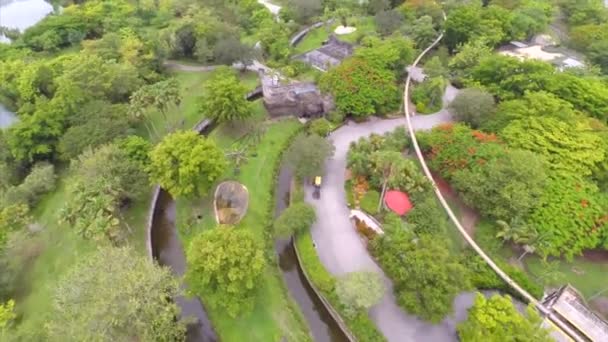 Повітряні відео зоопарк метро Майамі — стокове відео