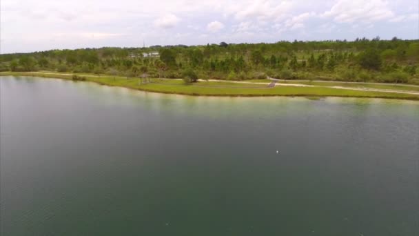 Video aereo di un lago immerso nella natura — Video Stock