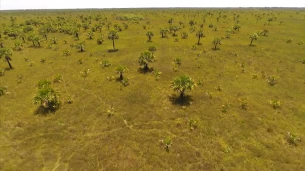 Nature préservée en Floride 