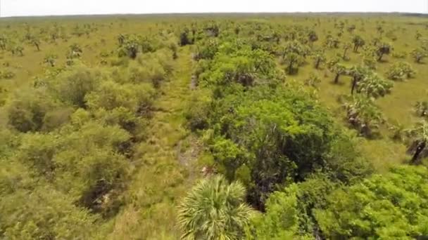 Nature préservée en Floride 