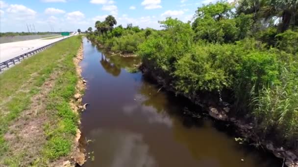 Fluss an der Straße — Stockvideo