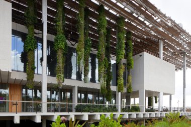 Perez Sanat Müzesi Miami ve müze parkının stok görüntü