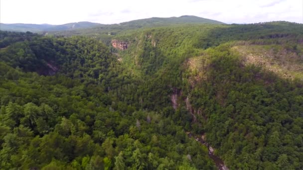 Gatlinburg Tennessee ABD — Stok video