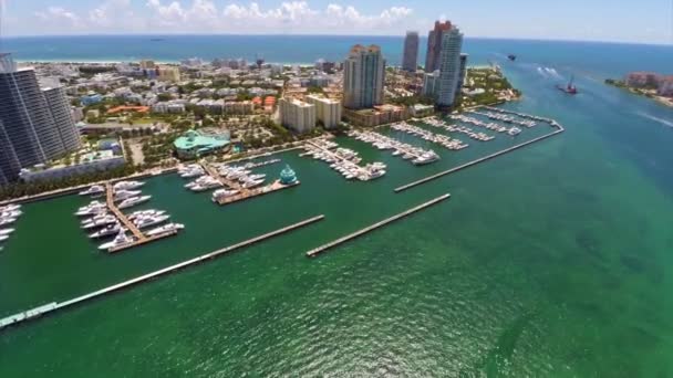 Marina de miami beach do panorama — Vídeo de Stock