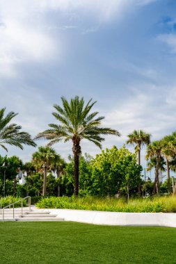 Las Olas Oceanside Park Fort Lauderdale FL 'de sahne