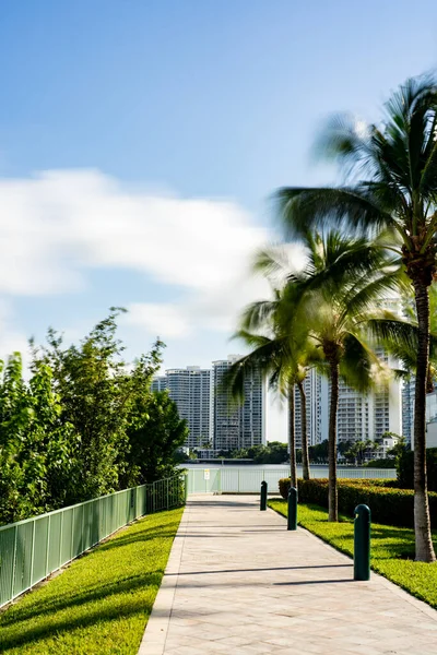 Lange Belichting Foto Van Een Natuurpark Loopbrug Met Palmbomen — Stockfoto