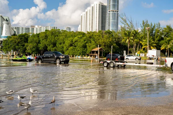 Miami Beach Florida Usa Oktober 2021 Lastkraftwagen Entladen Bei Flut — Stockfoto