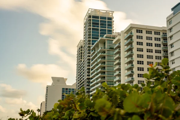 Condomini Miami Beach Foto Angolo Basso — Foto Stock