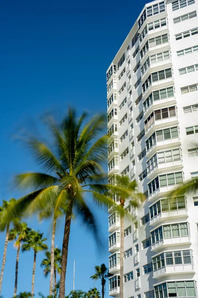 South Beach Miami Escena Con Edificio Palmera Cielo Azul Larga — Foto de Stock