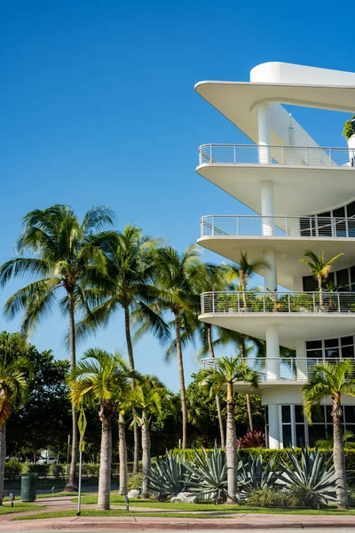 Місце Маямі Флориді Секцією Будівлі Пальм Агава — стокове фото