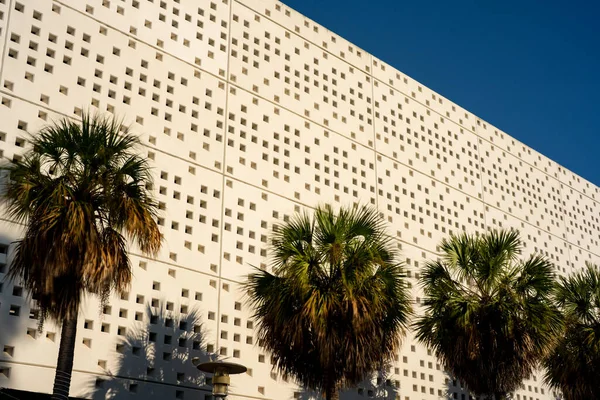 Miami Beach Architecture Palm Trees — Stock Photo, Image