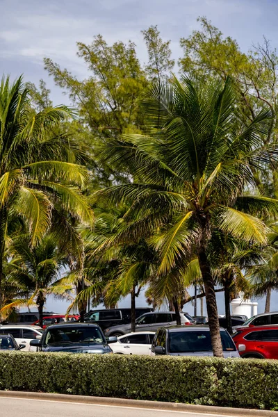 Fort Lauderdale Estacionamiento Municipal Lleno Coches — Foto de Stock
