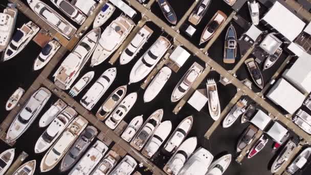 Drohne Aus Der Luft Schoss Yachten Bei Bootsmesse — Stockvideo