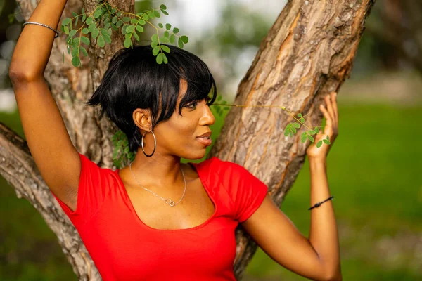 Parkta Poz Veren Güzel Bir Kadın Modelin Fotoğrafı Ağaçlı Sahne — Stok fotoğraf
