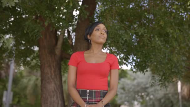 Video Cámara Lenta Una Joven Feliz Modelo Afroamericana Posando Aire — Vídeos de Stock