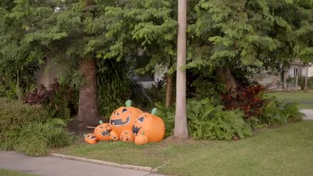 Nadmuchiwane Dyniowe Łaty Dekoracje Halloween — Wideo stockowe