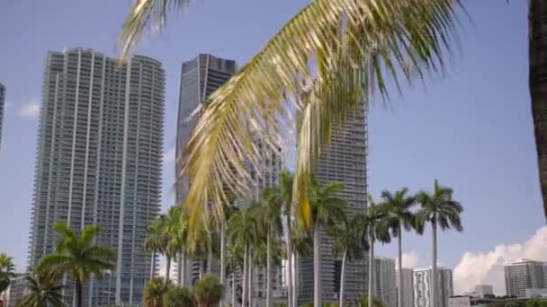 Motion Video Luxus Eigentumswohnungen Downtown Miami Mit Palmen Vordergrund — Stockvideo