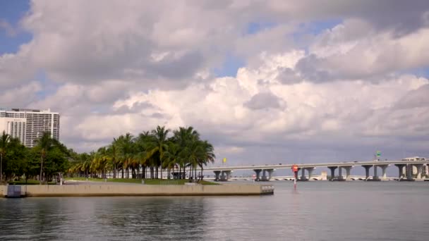 Escena Bahía Miami Filmada Con Cámara Estabilizada Gimbal — Vídeo de stock