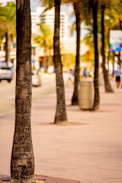 Fort Lauderdale Beach Scene Travel Destination — Stock Photo, Image
