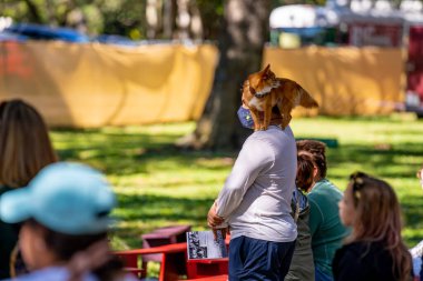 Hollywood, FL, ABD - 31 Ekim 2021: Camelot Günleri Ortaçağ Festivali TY Park Hollywood FL