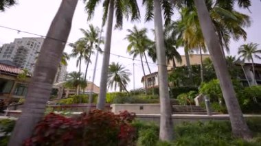 Broward Sanat Merkezi 'nde bahçe manzarası.