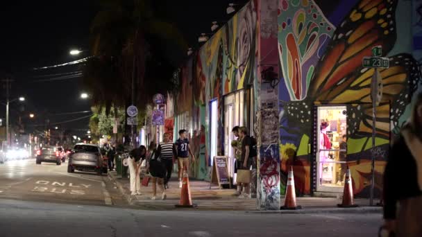 Scena Nocna Wynwood Miami 2Nd Avenue — Wideo stockowe