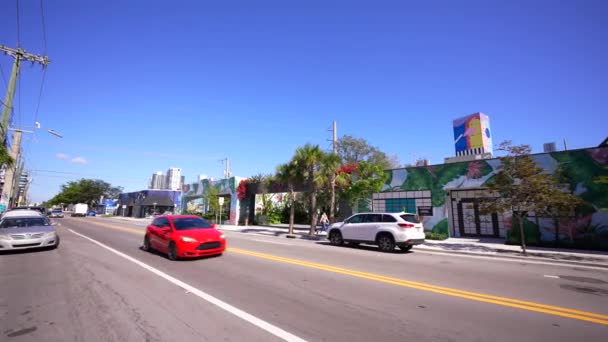 Ground Motion Video Oasis Miami Wynwood — Stock Video
