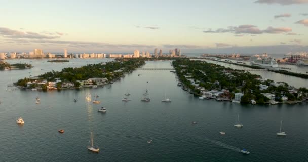 Letecké Video Palm Hibiscus Island Miami Beach Nábřeží Luxusní Nemovitosti — Stock video