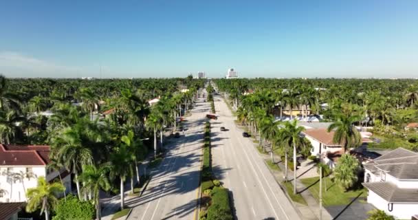 Légi Felvétel Hollywod Boulevard Florida Lakóházak — Stock videók