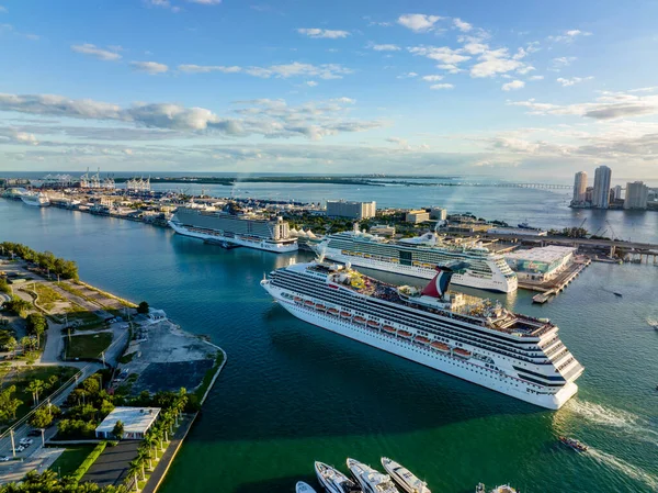 Tömeges Sétahajók Miami Kikötőben — Stock Fotó