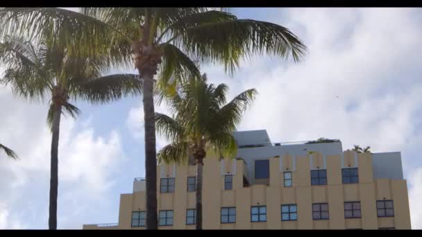 Gebäude Und Palme Roh Erschossen — Stockvideo