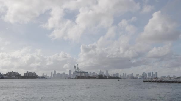 Video Hydroplán Létání Kolem Port Miami — Stock video