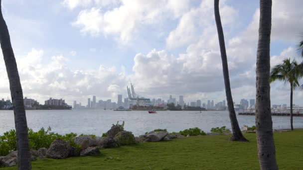 Vista Las Terminales Cruceros Port Miami — Vídeos de Stock