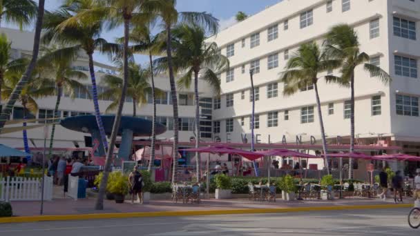 Βίντεο Clevelander Miami Beach — Αρχείο Βίντεο
