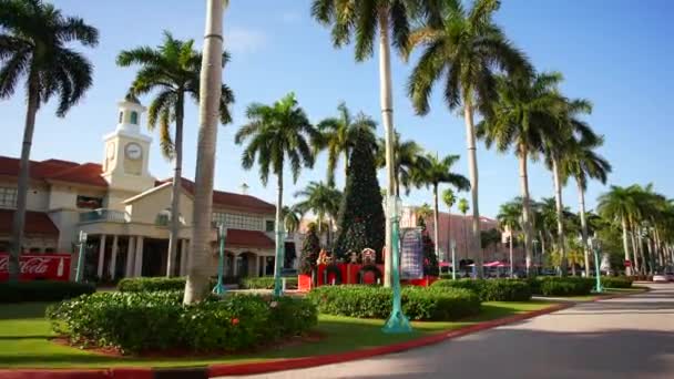 Mizner Park Noel Ağacı Süslerle Süslenmiş Boca Raton — Stok video