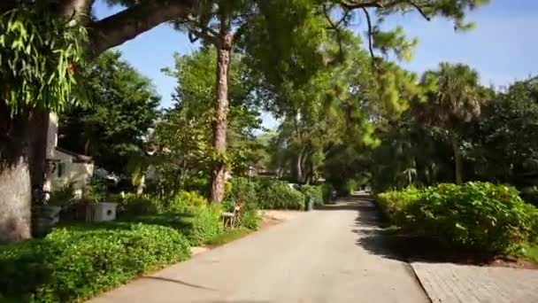 Usps Posta Taşıyıcısı Bir Yerleşim Bölgesinde Yürüyor Posta Dağıtıyordu — Stok video