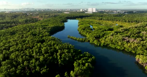 Gezgin Nehir Hava Aracı Görüntüsü — Stok video
