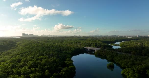 Vídeo Aéreo Oleta Park Miami Eua — Vídeo de Stock