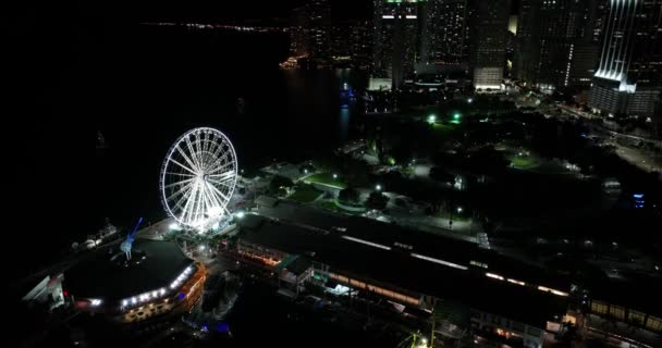Skyviews Miami Ferris Wheel Aerial — стокове відео