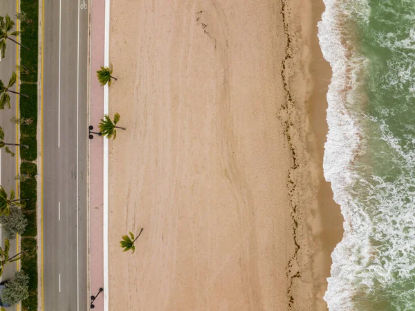 Aerial View Beach Palm Trees Sea — ストック写真