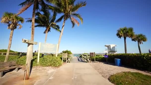 Arrivo Jaycee Park Vero Beach — Video Stock