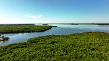 Aerial Vero Plajı FL mangrov ağaçları Indian River 4k