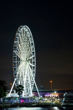 Gece fotoğrafı Skyview Miami Bayside dönme dolabında.