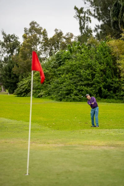 ゴルファーは最後の穴でボールを打つ — ストック写真