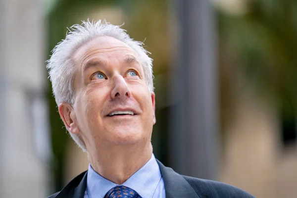 Handsome Mature Businessman Glancing — Stock Photo, Image