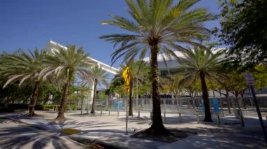 Video kiralama parkına yaklaş Miami 4k 60fps