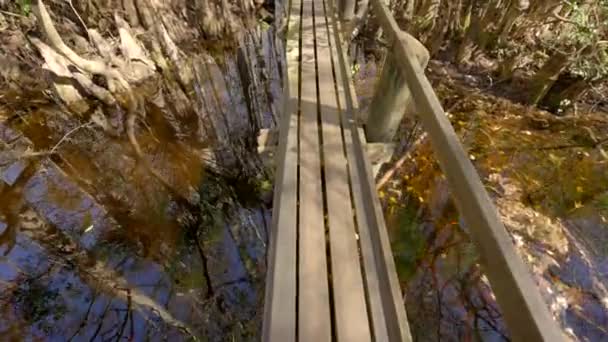 Sendero Para Caminar Con Barandilla Solo Lado Sobre Tierra Pantanosa — Vídeos de Stock