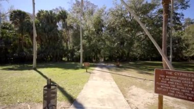 Highlands 'taki Kıbrıs Rum Kesimi Hamağı Eyalet Parkı Sebring FL