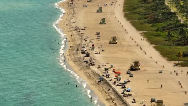 Trevlig Dag Stranden Haulover Beach Florida Miami — Stockvideo